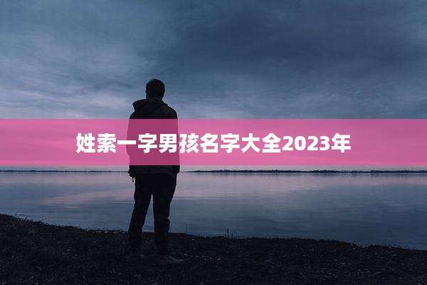 姓索一字男孩名字大全2023年