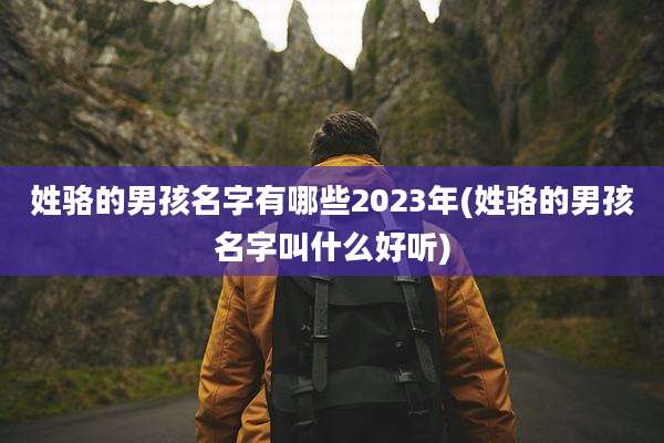 姓骆的男孩名字有哪些2023年(姓骆的男孩名字叫什么好听)