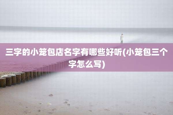 三字的小笼包店名字有哪些好听(小笼包三个字怎么写)