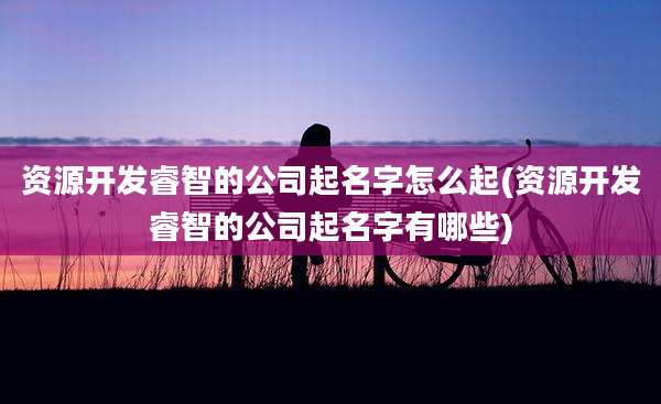 资源开发睿智的公司起名字怎么起(资源开发睿智的公司起名字有哪些)