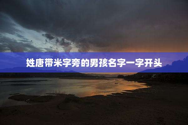 姓唐带米字旁的男孩名字一字开头