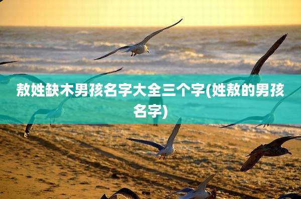 敖姓缺木男孩名字大全三个字(姓敖的男孩名字)