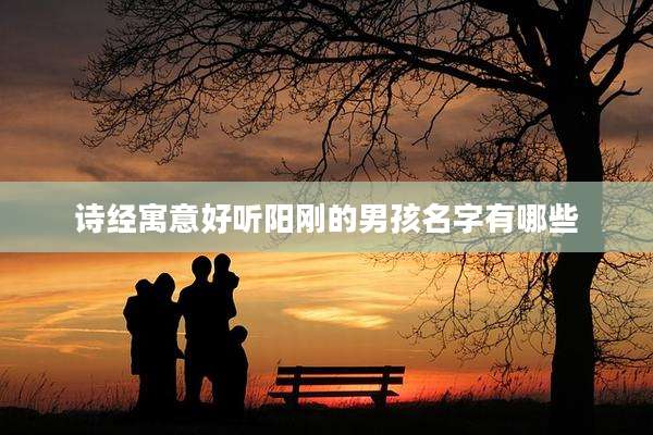 诗经寓意好听阳刚的男孩名字有哪些