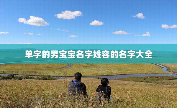 单字的男宝宝名字姓容的名字大全