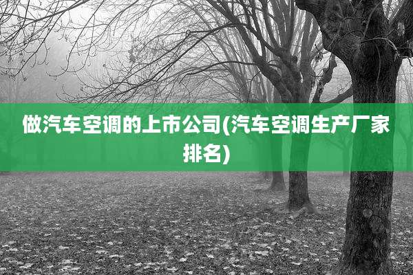 做汽车空调的上市公司(汽车空调生产厂家排名)
