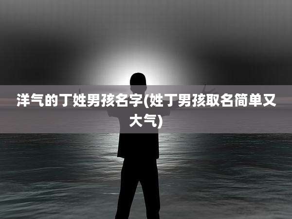 洋气的丁姓男孩名字(姓丁男孩取名简单又大气)