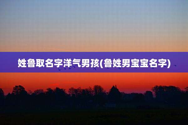 姓鲁取名字洋气男孩(鲁姓男宝宝名字)