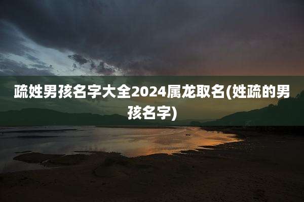 疏姓男孩名字大全2024属龙取名(姓疏的男孩名字)