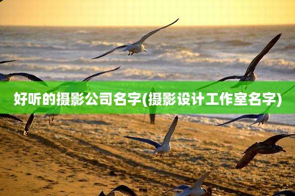 好听的摄影公司名字(摄影设计工作室名字)