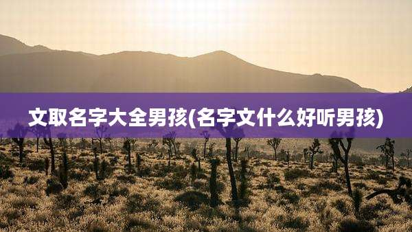 文取名字大全男孩(名字文什么好听男孩)