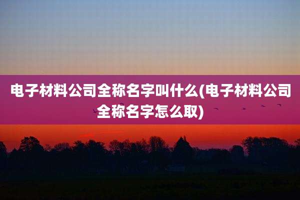 电子材料公司全称名字叫什么(电子材料公司全称名字怎么取)