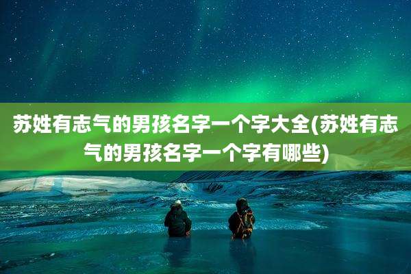 苏姓有志气的男孩名字一个字大全(苏姓有志气的男孩名字一个字有哪些)