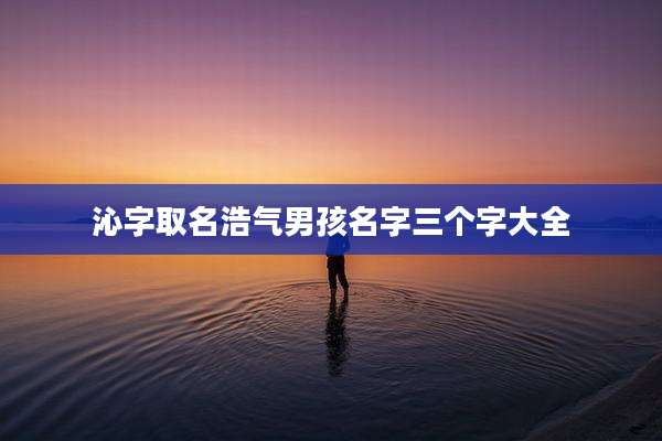 沁字取名浩气男孩名字三个字大全