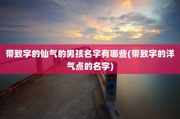 带致字的仙气的男孩名字有哪些(带致字的洋气点的名字)
