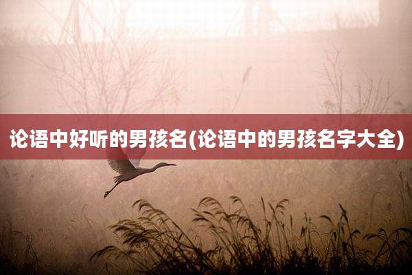 论语中好听的男孩名(论语中的男孩名字大全)