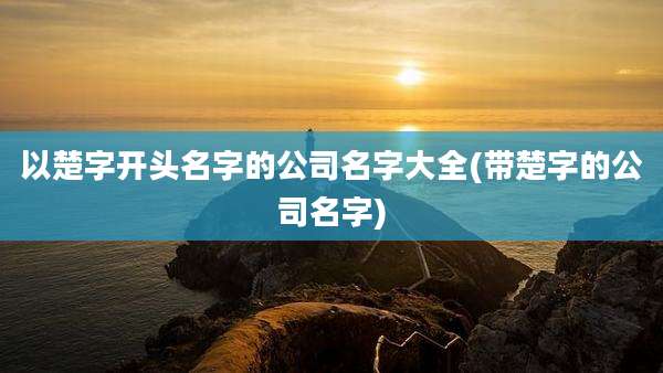 以楚字开头名字的公司名字大全(带楚字的公司名字)