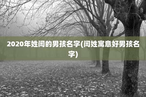 2020年姓闫的男孩名字(闫姓寓意好男孩名字)