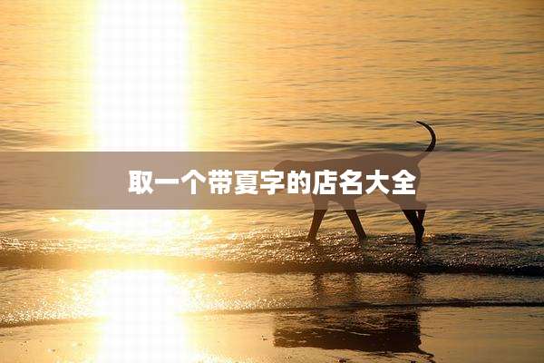 取一个带夏字的店名大全