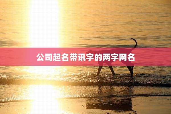 公司起名带讯字的两字网名