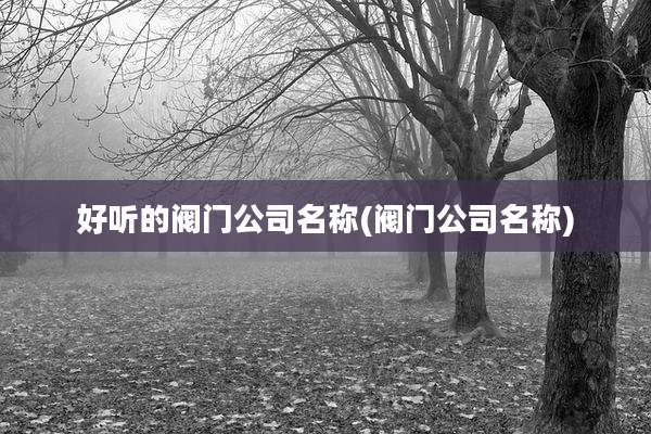 好听的阀门公司名称(阀门公司名称)