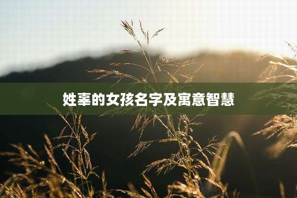 姓辜的女孩名字及寓意智慧