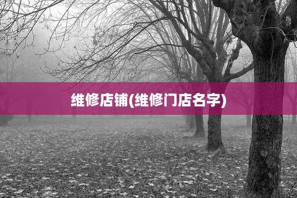 维修店铺(维修门店名字)