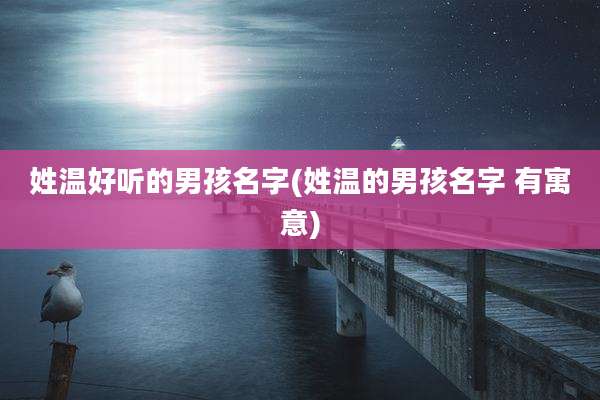姓温好听的男孩名字(姓温的男孩名字 有寓意)