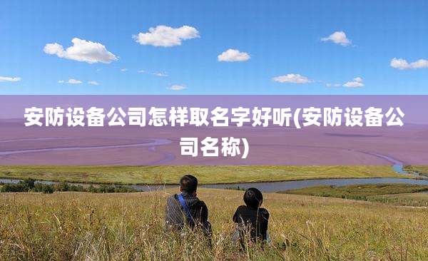 安防设备公司怎样取名字好听(安防设备公司名称)