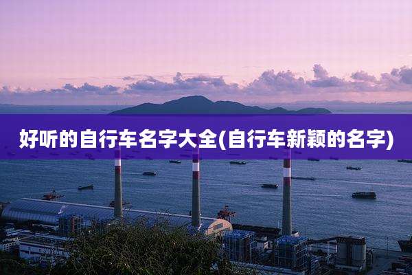 好听的自行车名字大全(自行车新颖的名字)