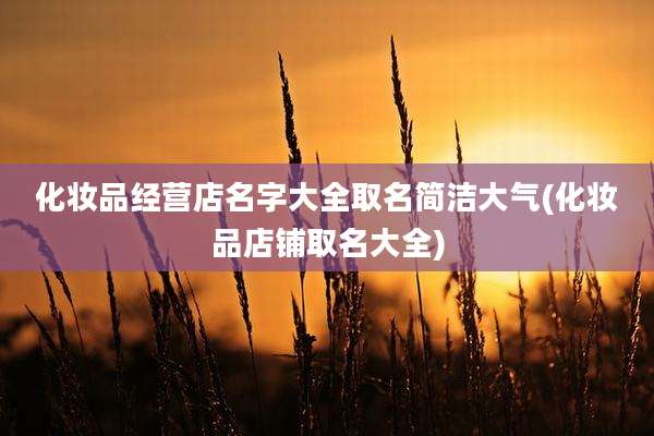 化妆品经营店名字大全取名简洁大气(化妆品店铺取名大全)
