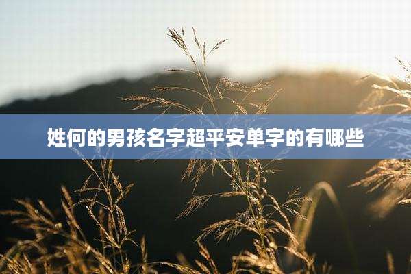 姓何的男孩名字超平安单字的有哪些