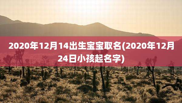 2020年12月14出生宝宝取名(2020年12月24日小孩起名字)