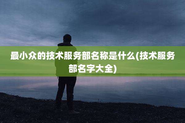 最小众的技术服务部名称是什么(技术服务部名字大全)
