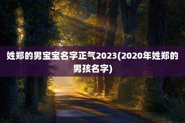 姓郑的男宝宝名字正气2023(2020年姓郑的男孩名字)
