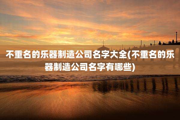 不重名的乐器制造公司名字大全(不重名的乐器制造公司名字有哪些)