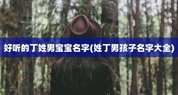 好听的丁姓男宝宝名字(姓丁男孩子名字大全)