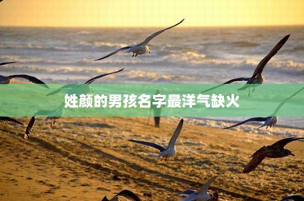姓颜的男孩名字最洋气缺火