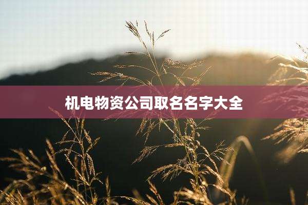 机电物资公司取名名字大全