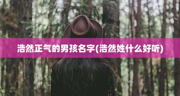 浩然正气的男孩名字(浩然姓什么好听)