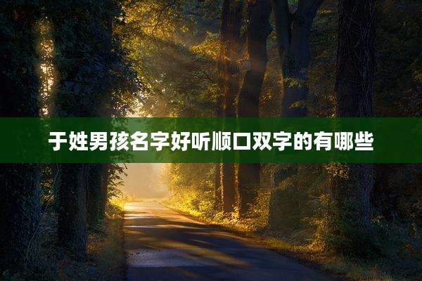 于姓男孩名字好听顺口双字的有哪些