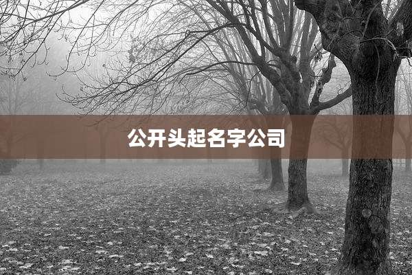 公开头起名字公司