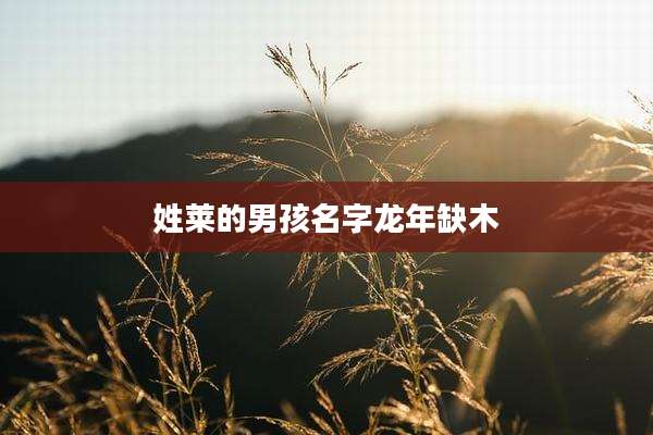 姓莱的男孩名字龙年缺木