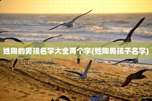 姓陶的男孩名字大全两个字(姓陶男孩子名字)