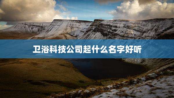 卫浴科技公司起什么名字好听