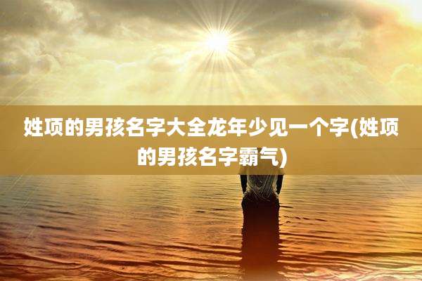 姓项的男孩名字大全龙年少见一个字(姓项的男孩名字霸气)