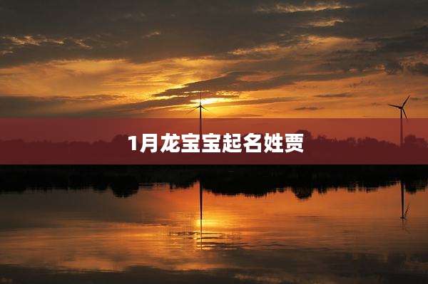 1月龙宝宝起名姓贾