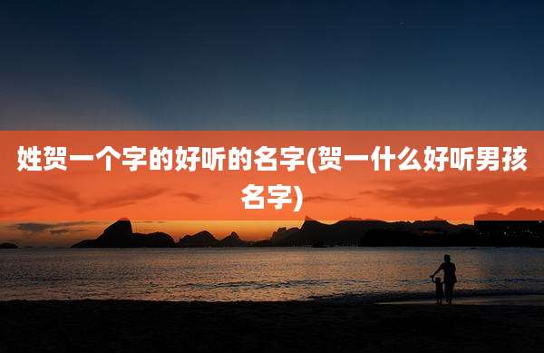 姓贺一个字的好听的名字(贺一什么好听男孩名字)