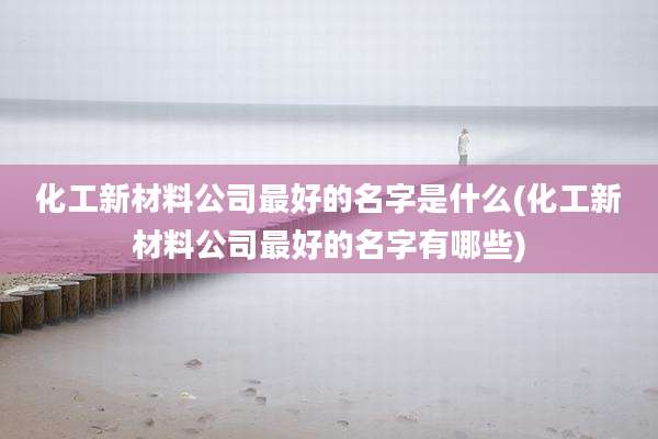 化工新材料公司最好的名字是什么(化工新材料公司最好的名字有哪些)
