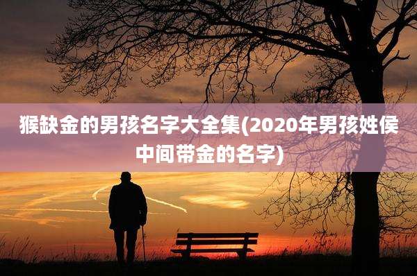 猴缺金的男孩名字大全集(2020年男孩姓侯中间带金的名字)