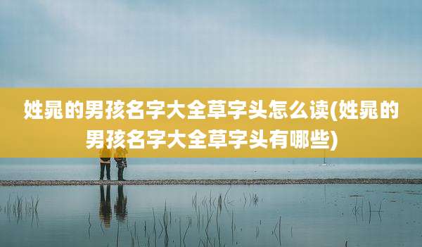 姓晁的男孩名字大全草字头怎么读(姓晁的男孩名字大全草字头有哪些)